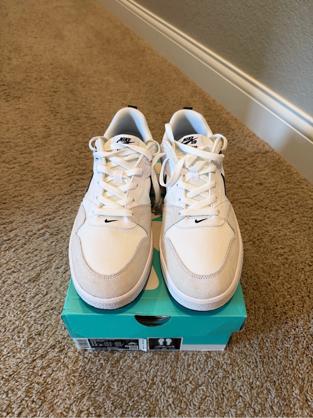 Nike White and Black Accent Skate Shoes